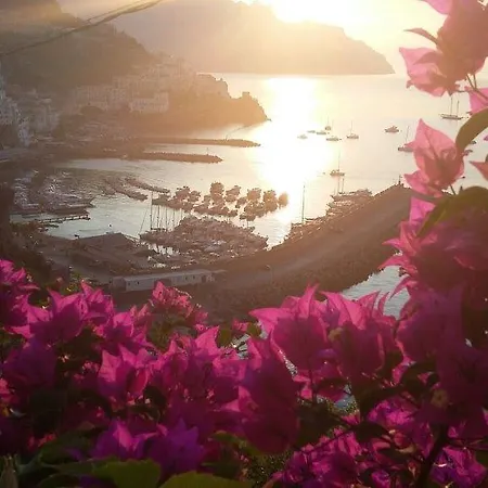 Bouganville & Sea *